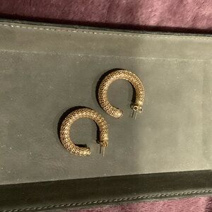 Elegant Gold Hoop Earrings